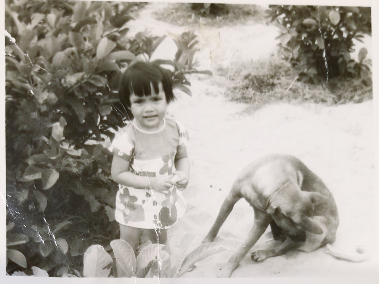 About Me Lan for Arroyo Grande City Council